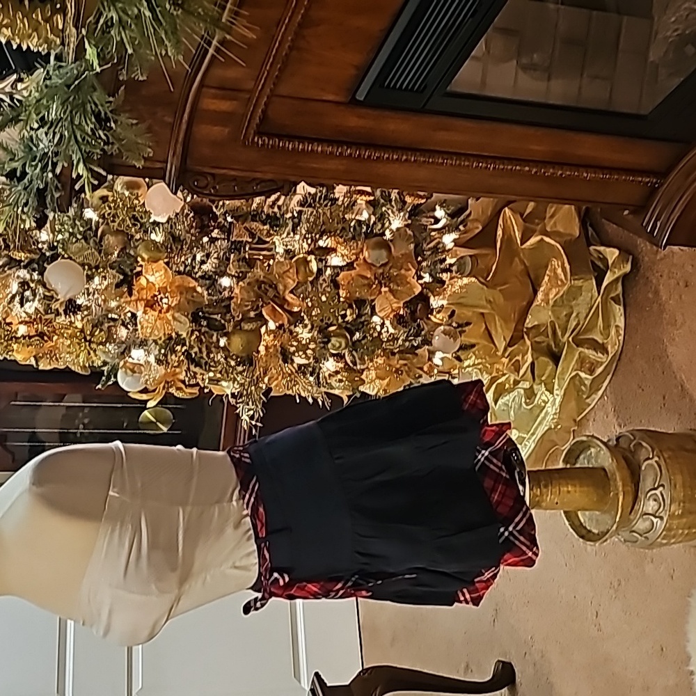 Nice Skirt - Picture 6 of 9